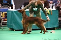 Crufts2011 339